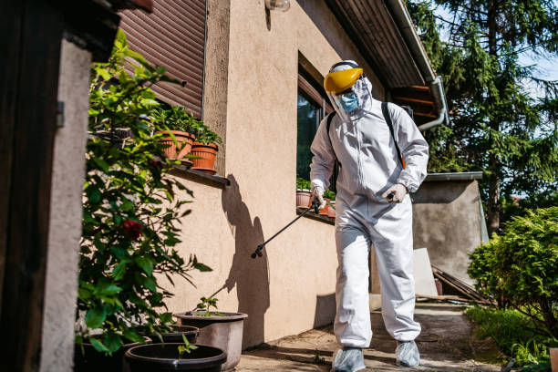 Best Rat Extermination Near Me  in Bethlehem Village, CT