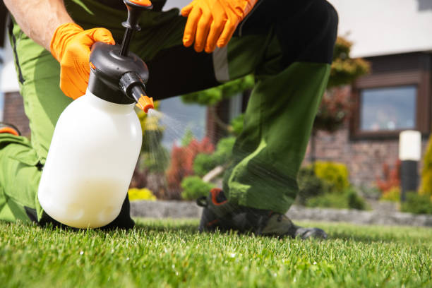 Best Flea Control Services  in Bethlehem Village, CT