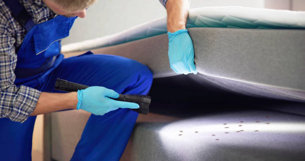 Best Bed Bug Extermination  in Bethlehem Village, CT