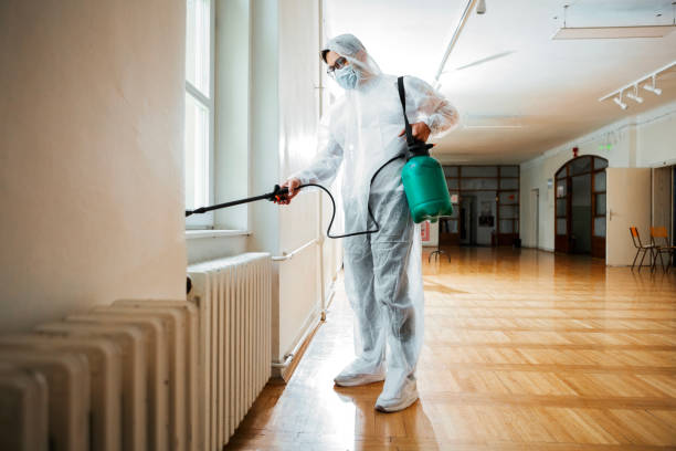Best Emergency Pest Control  in Bethlehem Village, CT